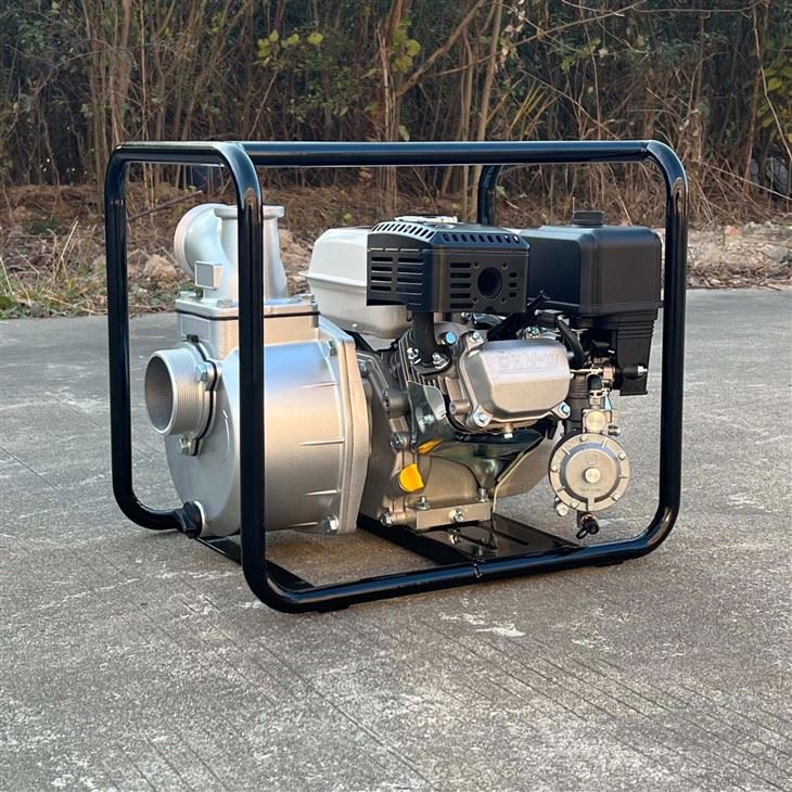 SLONG BRAND Lp Gas Pump WP30-LPG