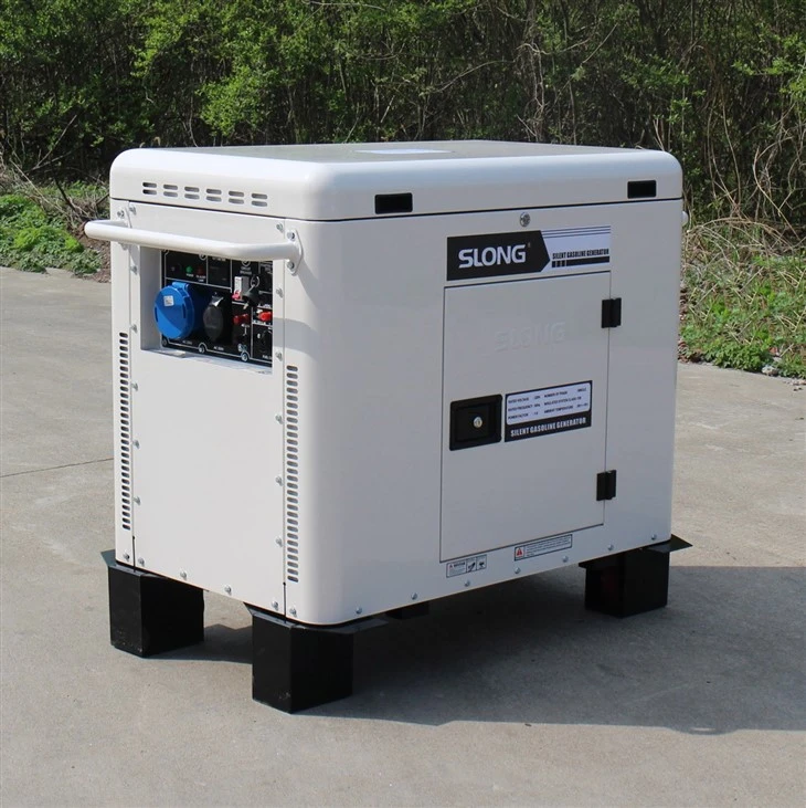 10kW Guardian Series Home Generator With Transfer Switch