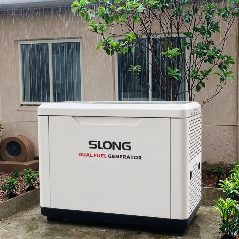 Samodejni zagon LPG Generator za zemeljski plin s certifikatom LPG Generator zemeljski plin s konkurenčno veleprodajno ceno
